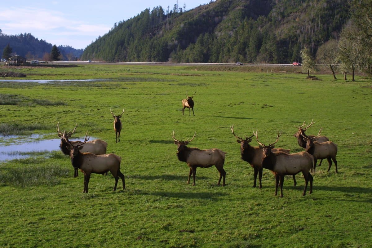 More on Winchester Bay