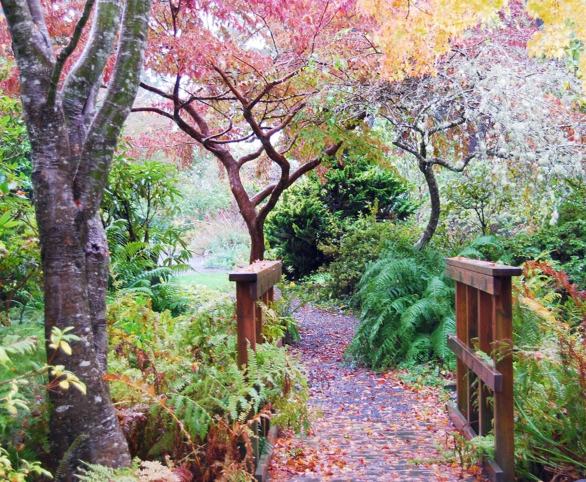 Wander Through the Connie Hansen Garden