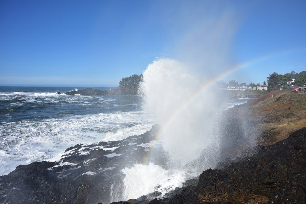 Catch A Spouting Horn