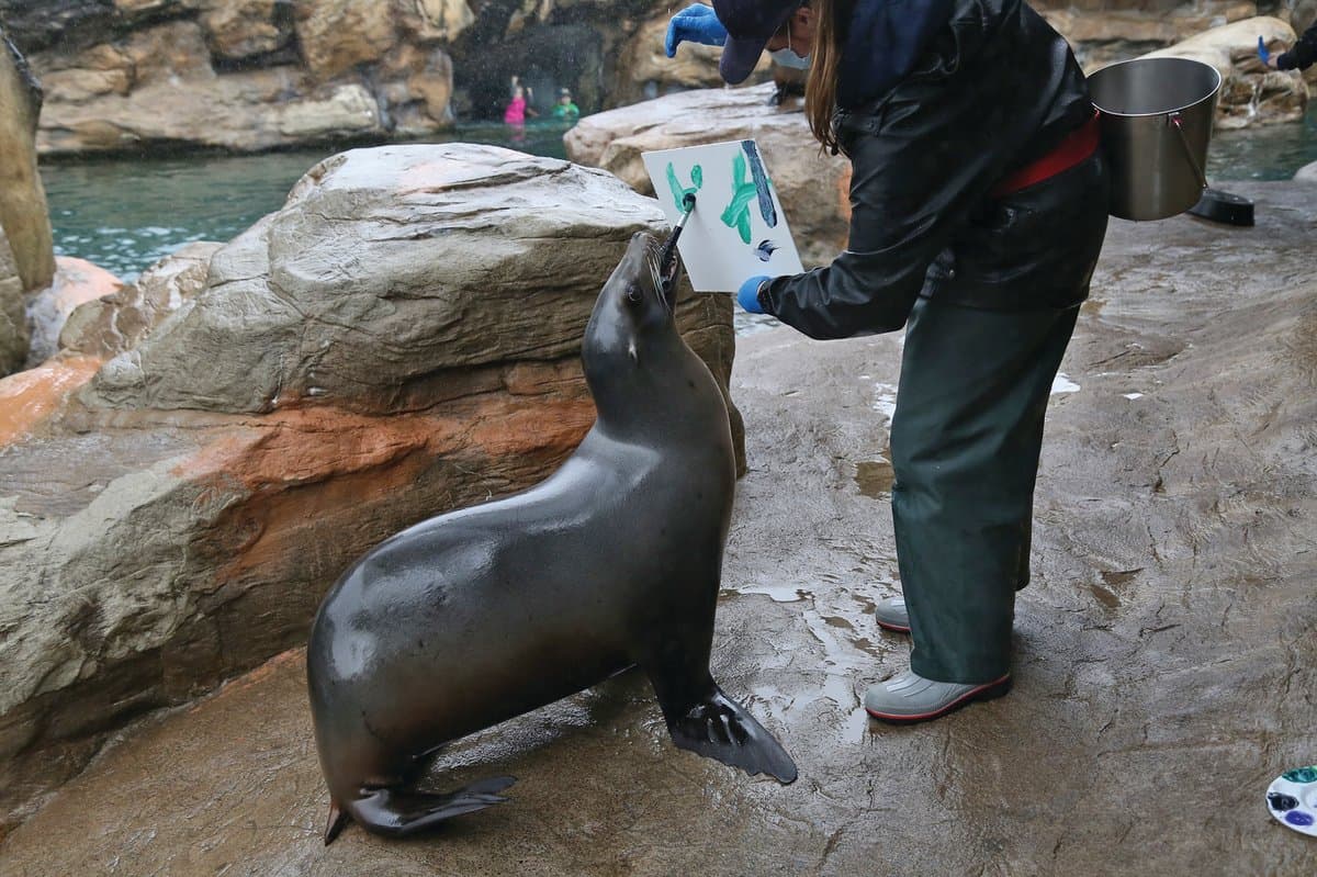 Interact With Marine Life - Marine Science Center