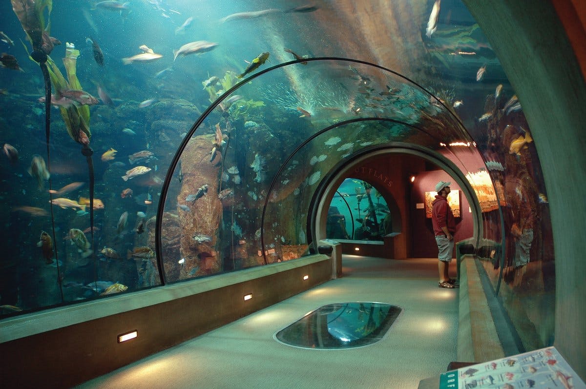 Visit the Oregon Coast Aquarium