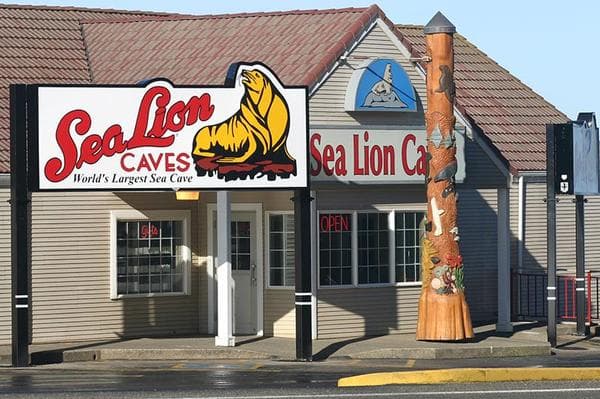 Take the Elevator to Visit the Sea Lions