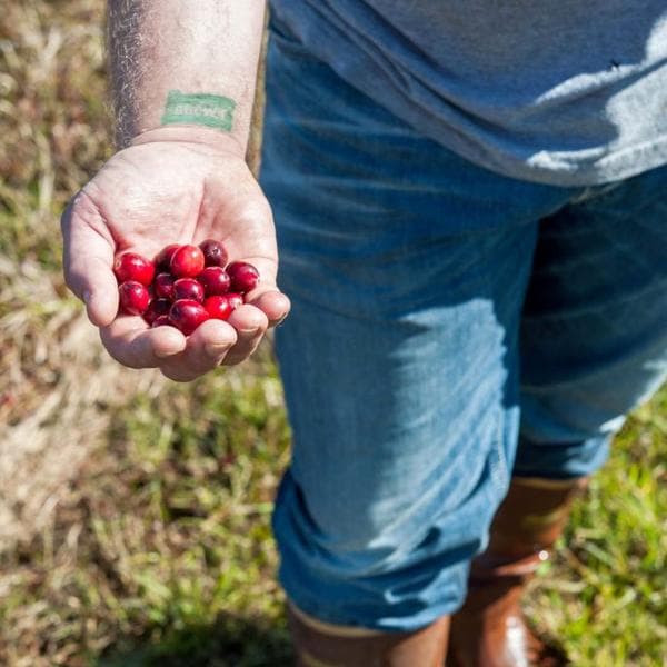 Taste Local Cranberries