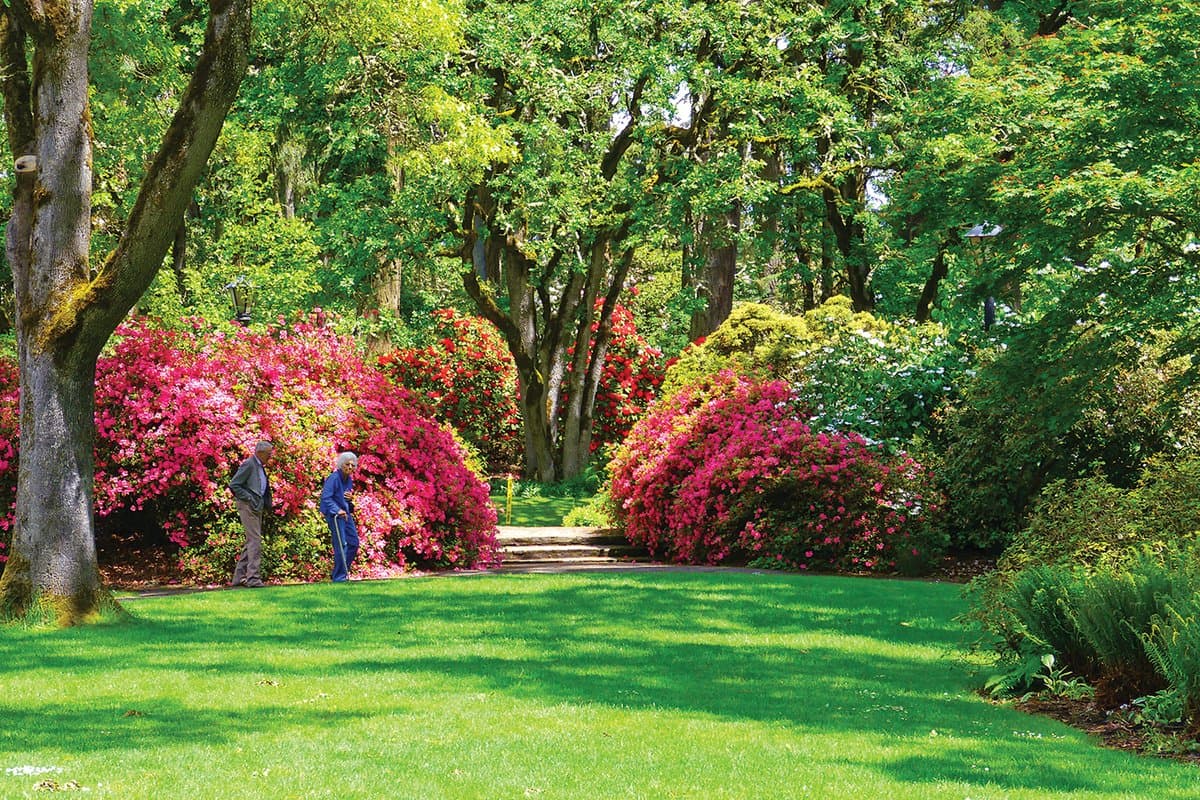 Stroll Through Hendricks Park