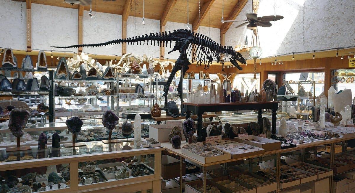 See the 13-Foot Long, 6-FootTall T-Rex