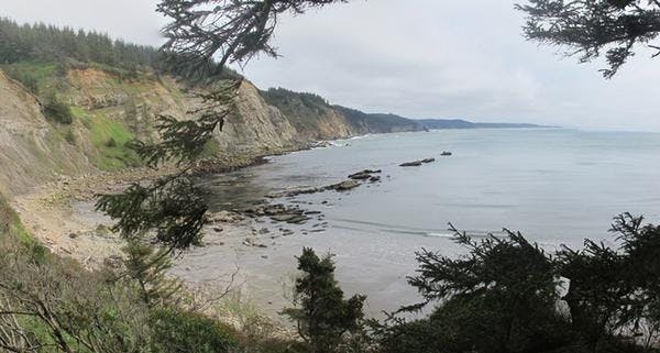 See Cape Arago State Park & Lighthouse